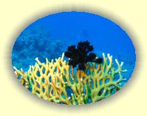 IMG_2007_05_29 14_13_52 * 3072 x 2304 * (612KB)